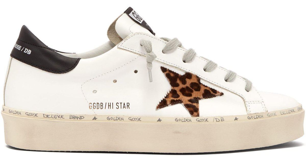 hi star golden goose