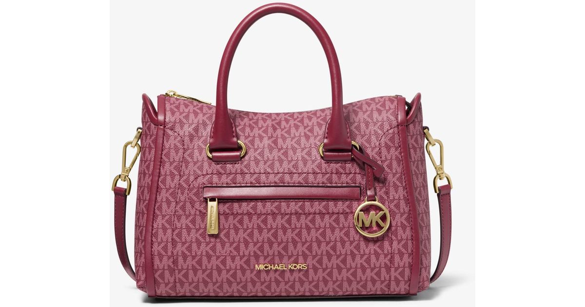 carine satchel