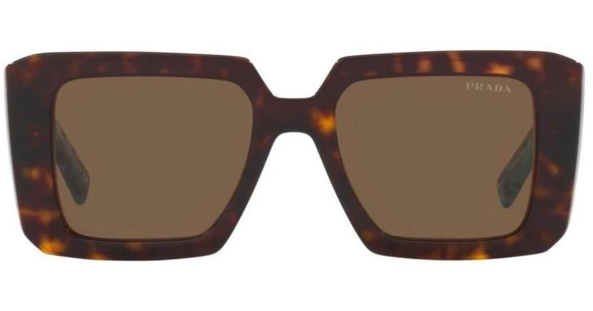 NEW Prada PR D06S Sunglasses in Havana Brown $524 Prada PR D06S 16K03D 50 | Bassol Optic United States main image 2