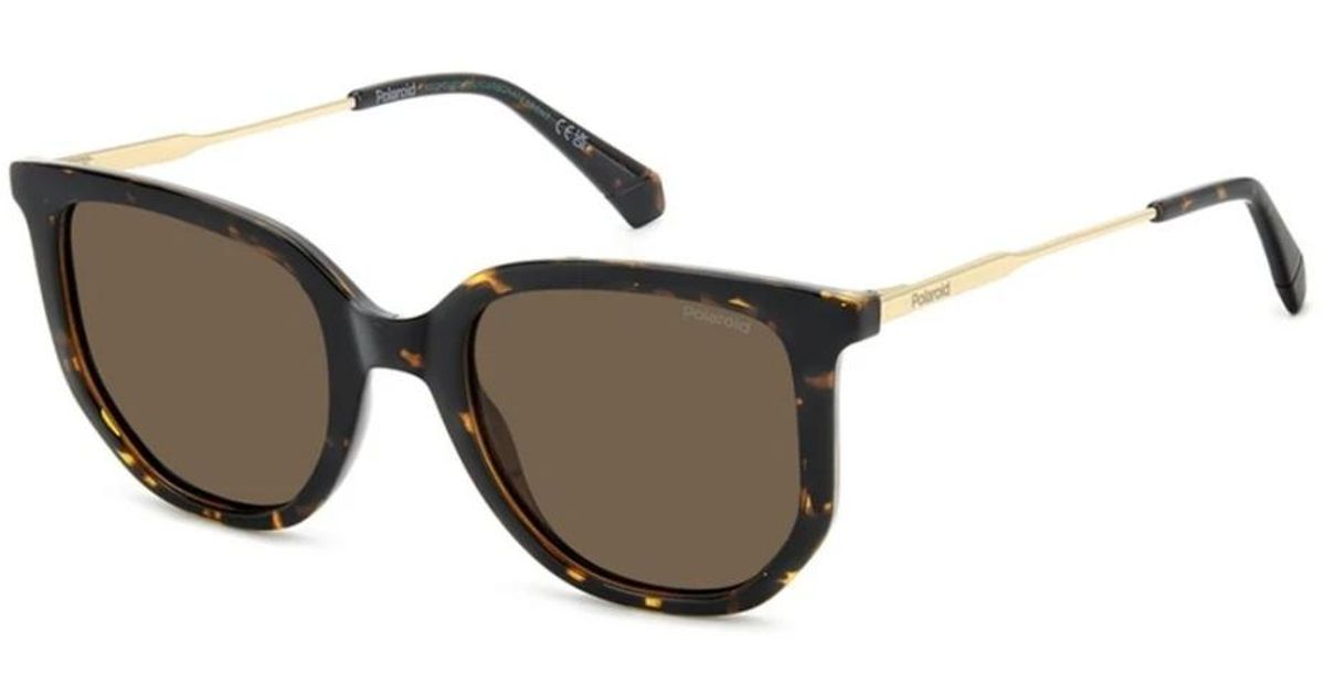 Polaroid Brown Polycarbonate Sunglasses