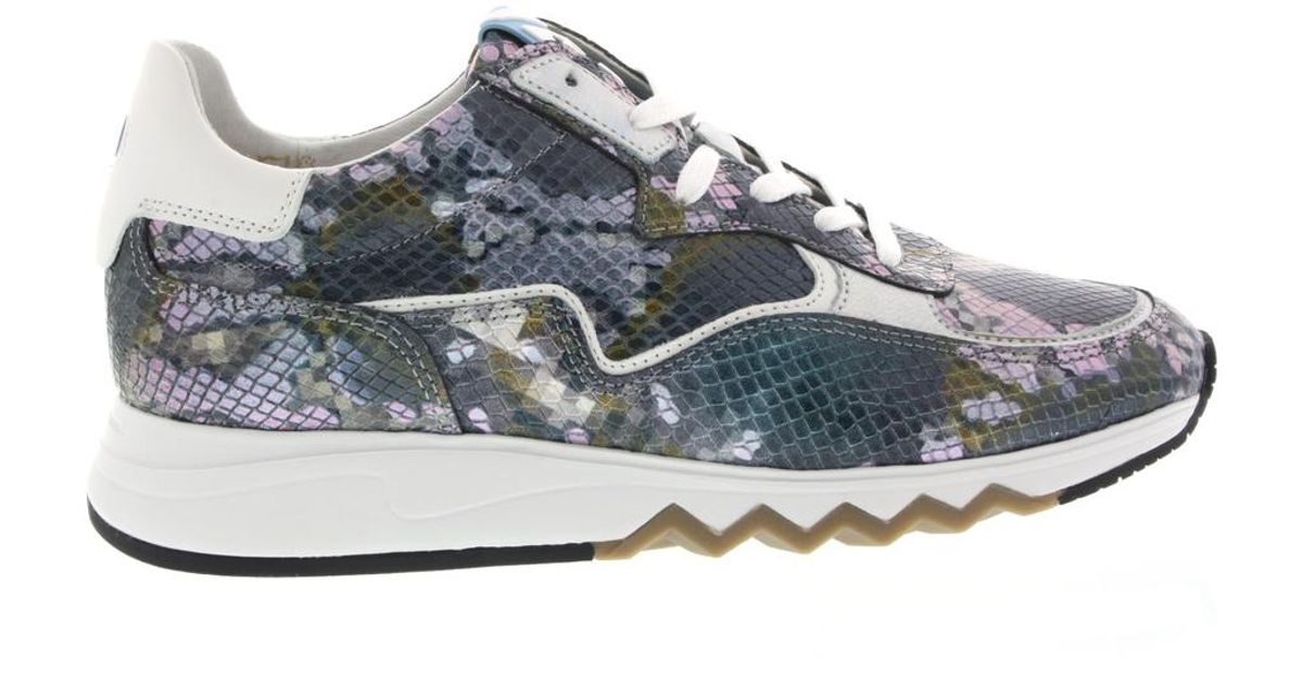 Floris Van Bommel Dames Sneakers in het Blauw - Lyst
