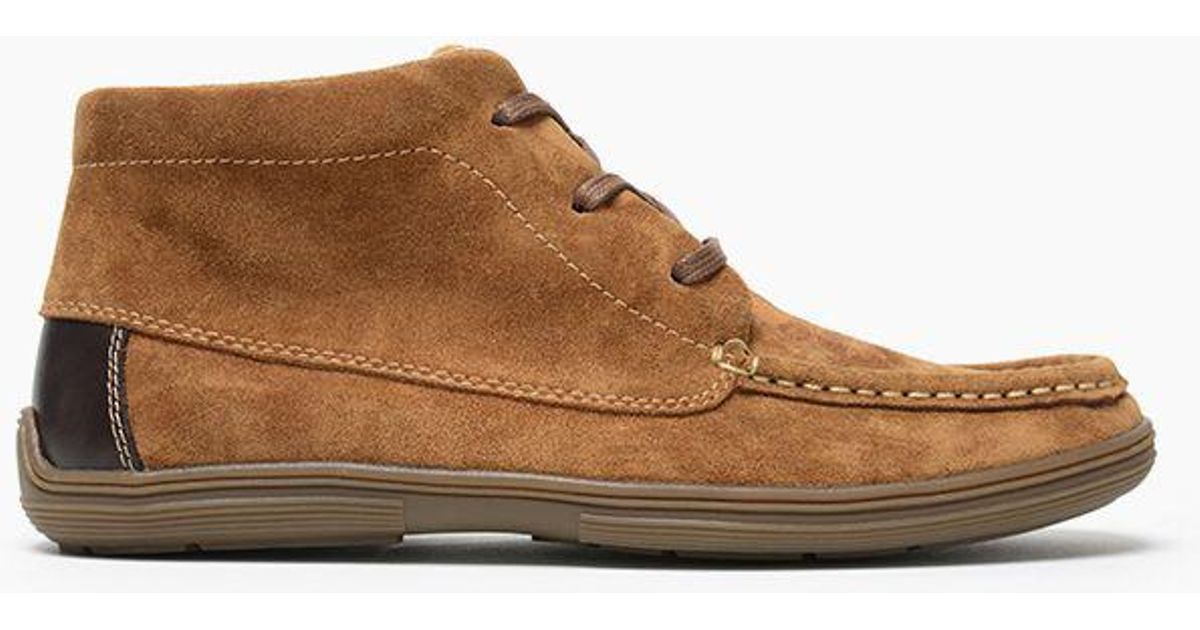 minnetonka griffon