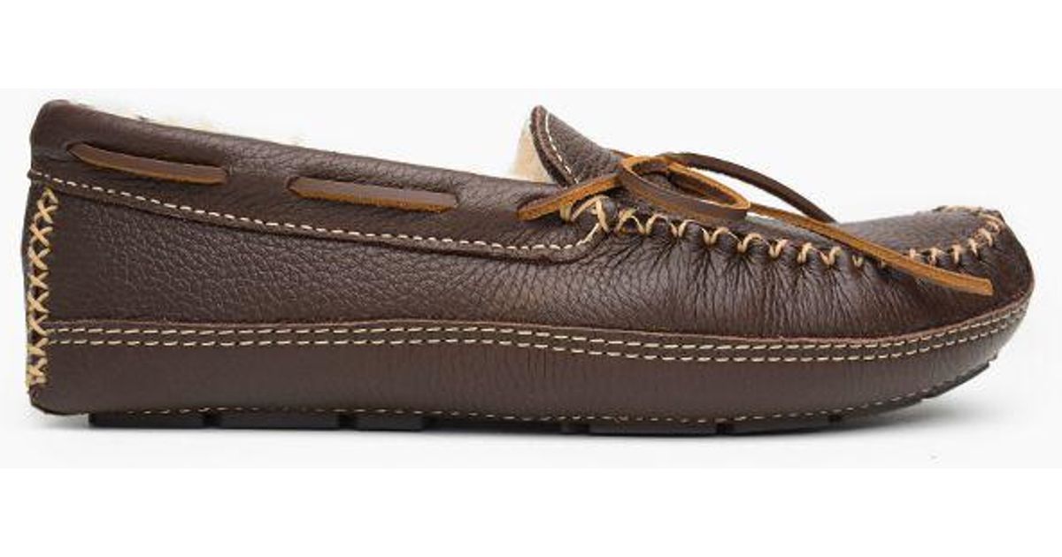 minnetonka moose