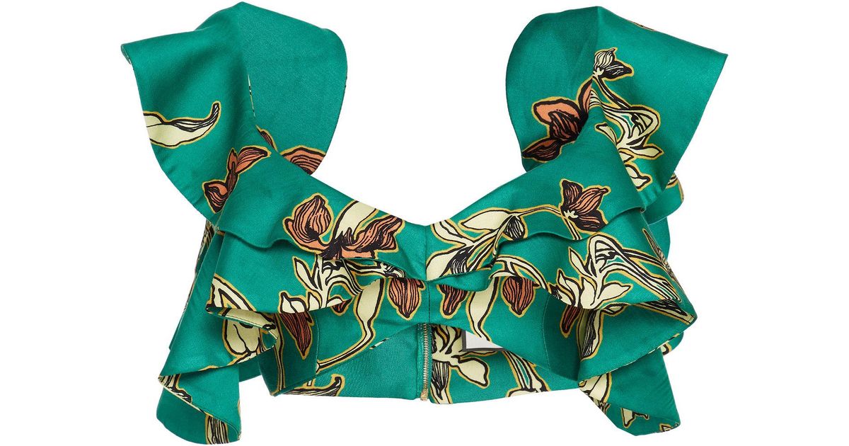 Alexis Hoshi Ruffled Floral-print Crepe De Chine Crop Top ...