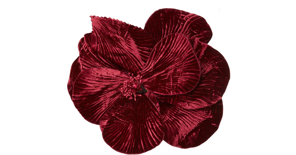 johanna ortiz belt
