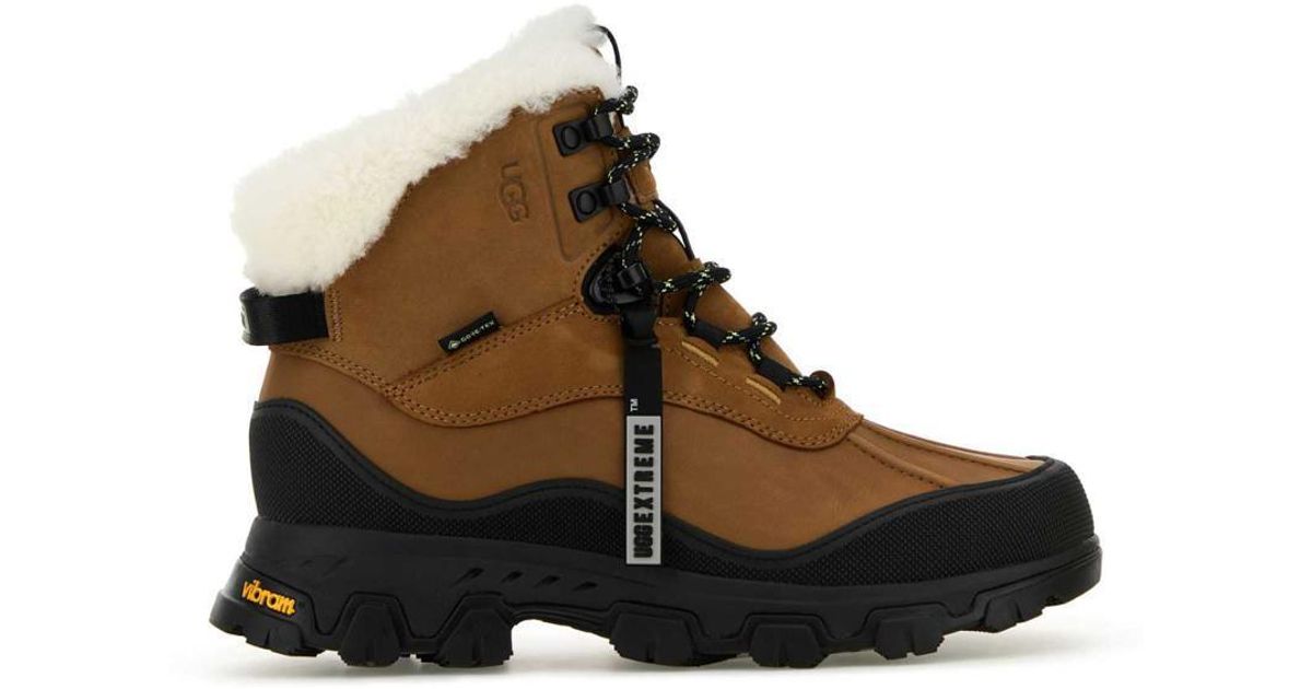Ugg Brown Ankle Boots