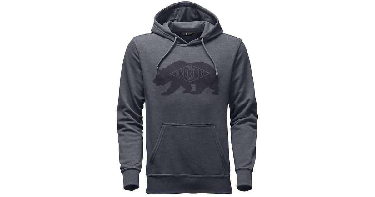 north face bearitage hoodie