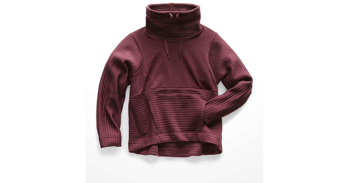 the north face funnel neck pullover hoodie
