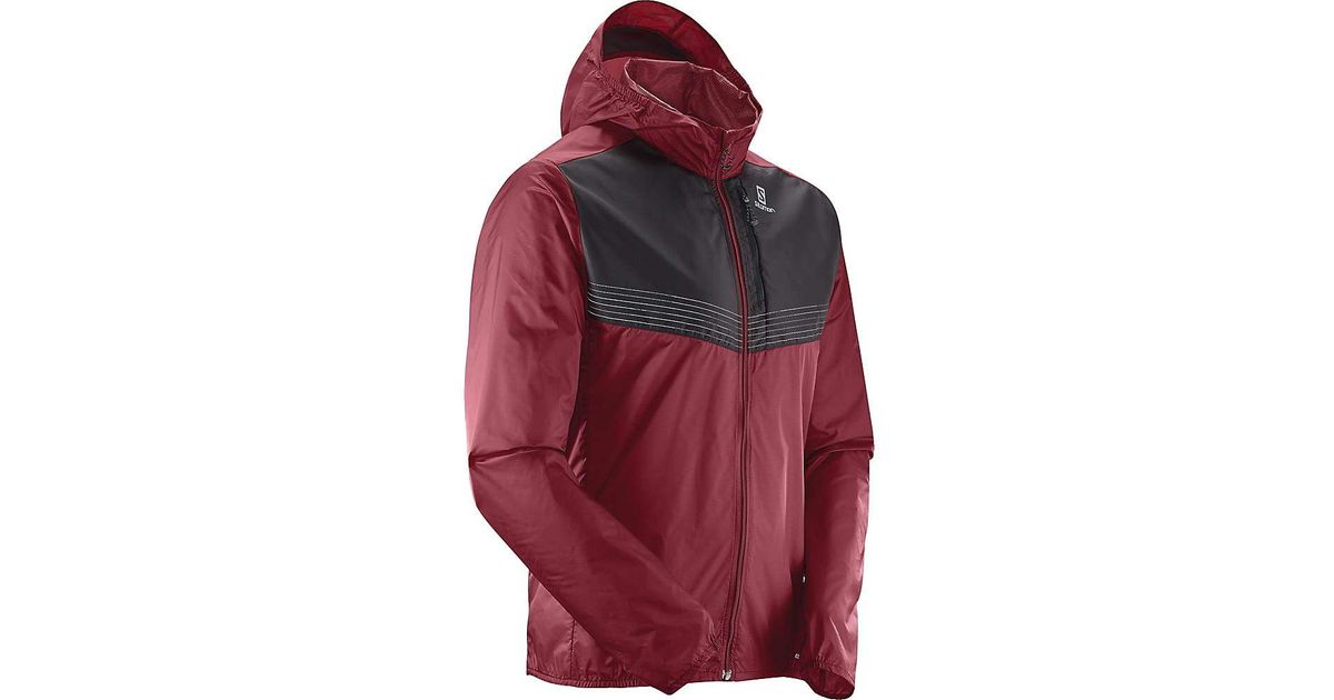fast wing aero salomon