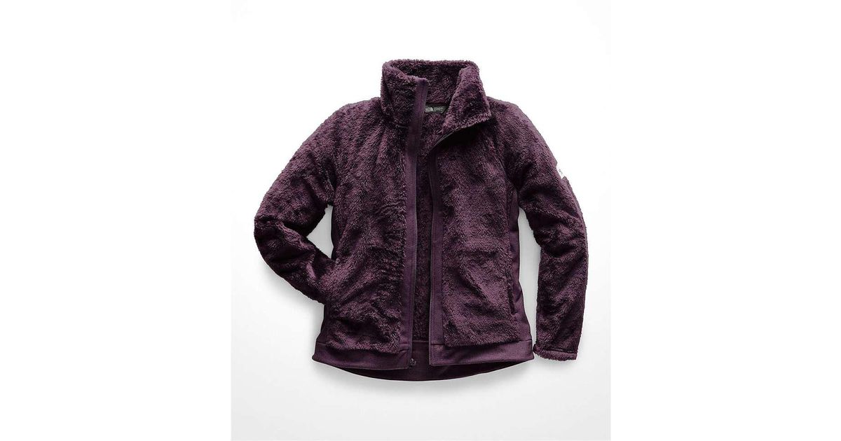 the north face furry fleece full zip