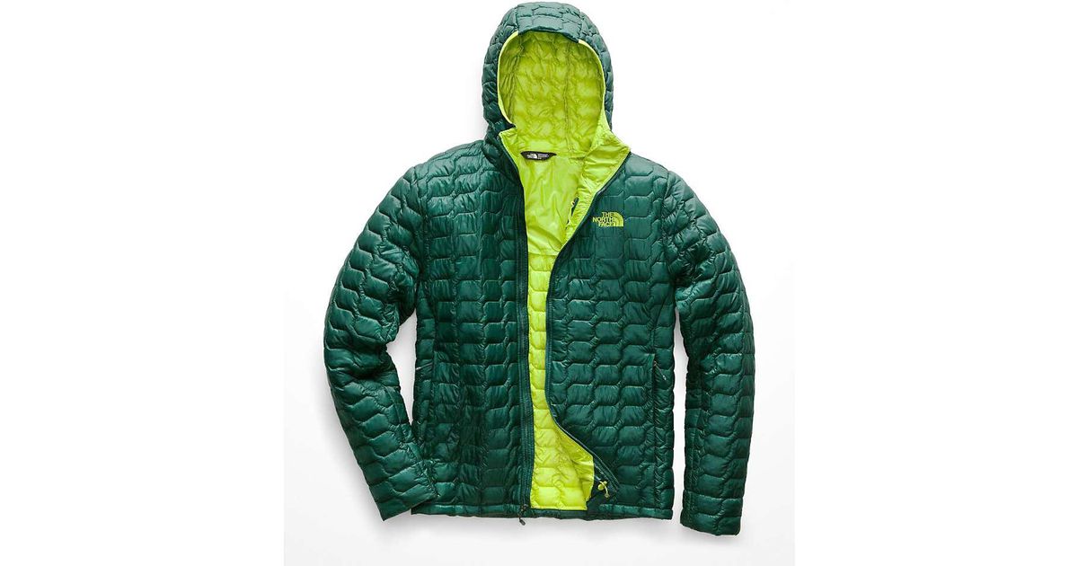 north face thermoball botanical green