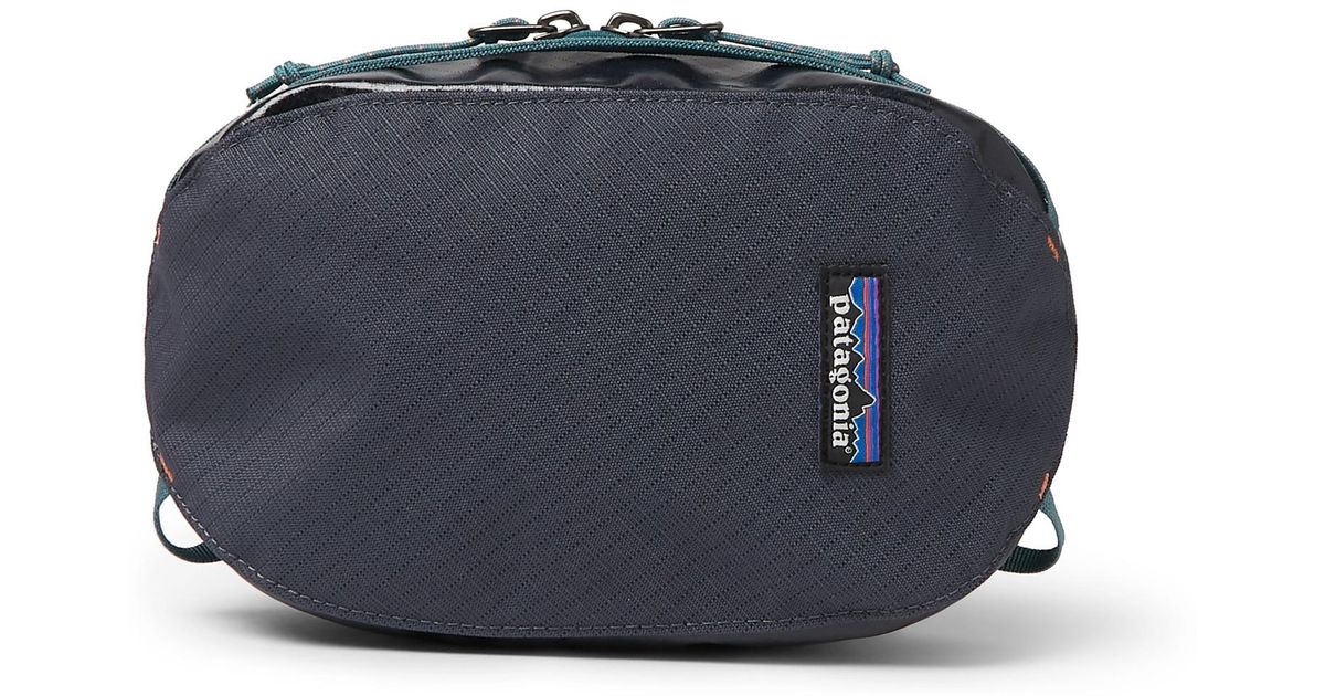 patagonia purse