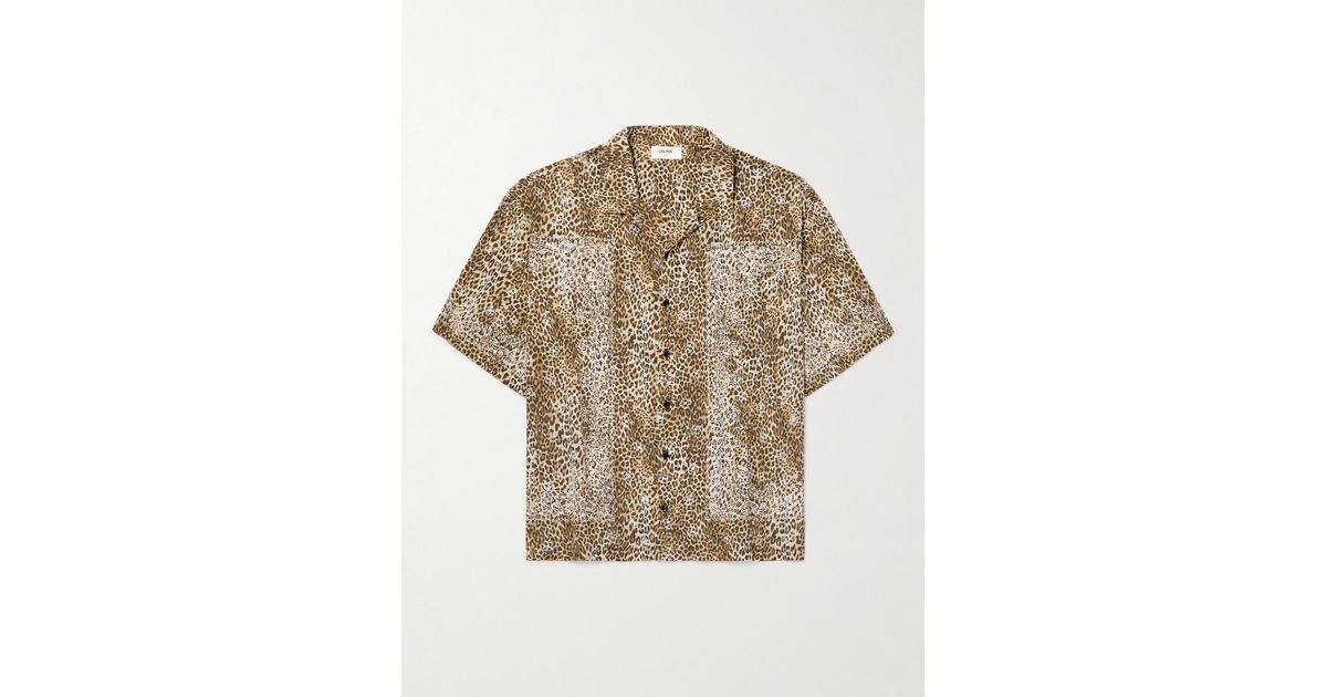 celine-Brown-Camp-collar- 