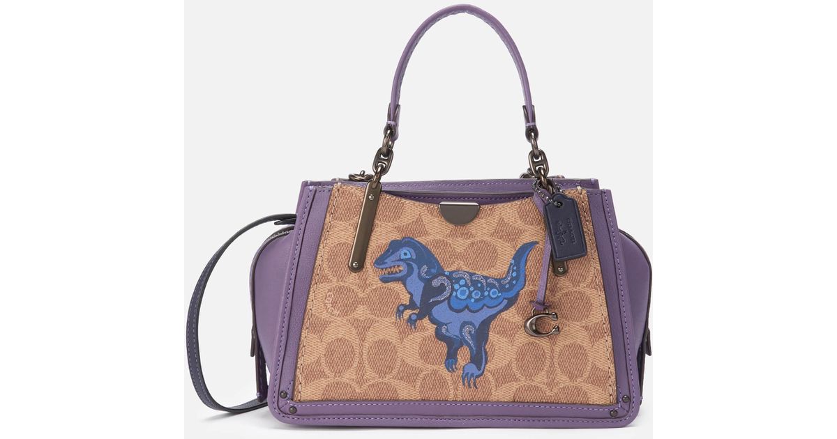 Coach dreamer online 21 satchel
