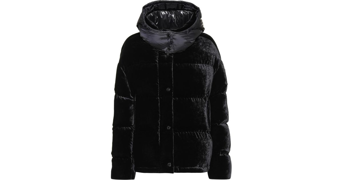 Moncler Caille Velvet Puffer Jacket in Black Lyst