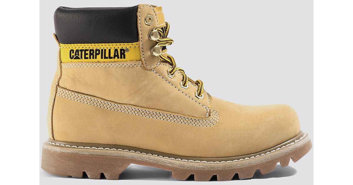 caterpillar honey reset