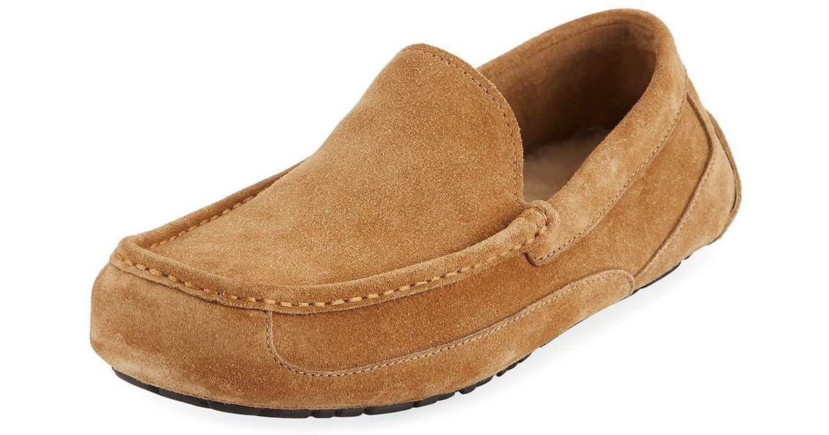 Ugg Ascot Pinnacle Slipper Best Sale 58 OFF falkonerscouts