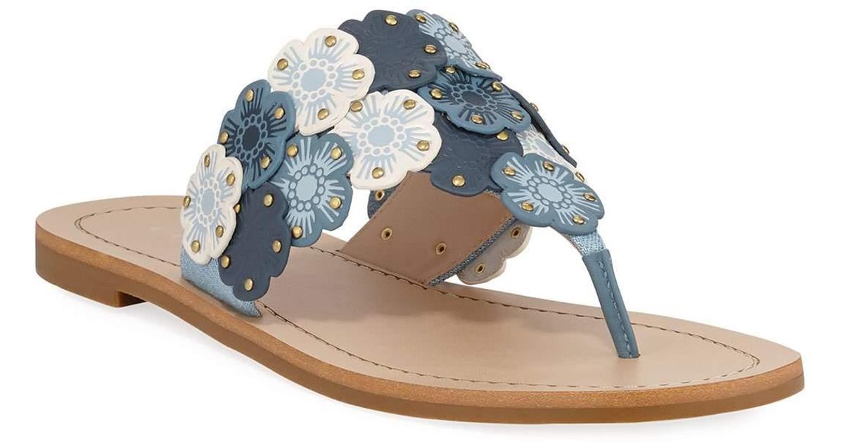 coach lottie sandal