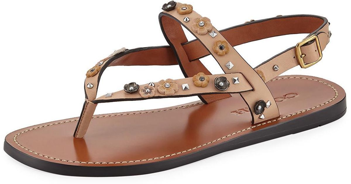coach tea rose sandal