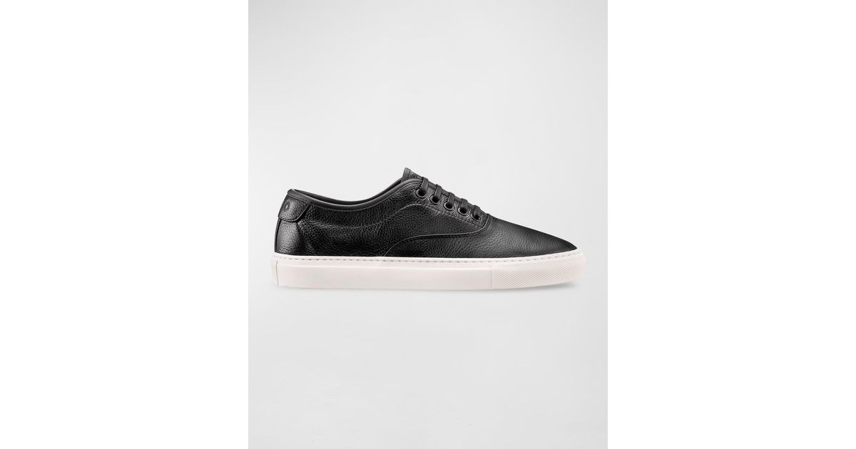 koio canvas