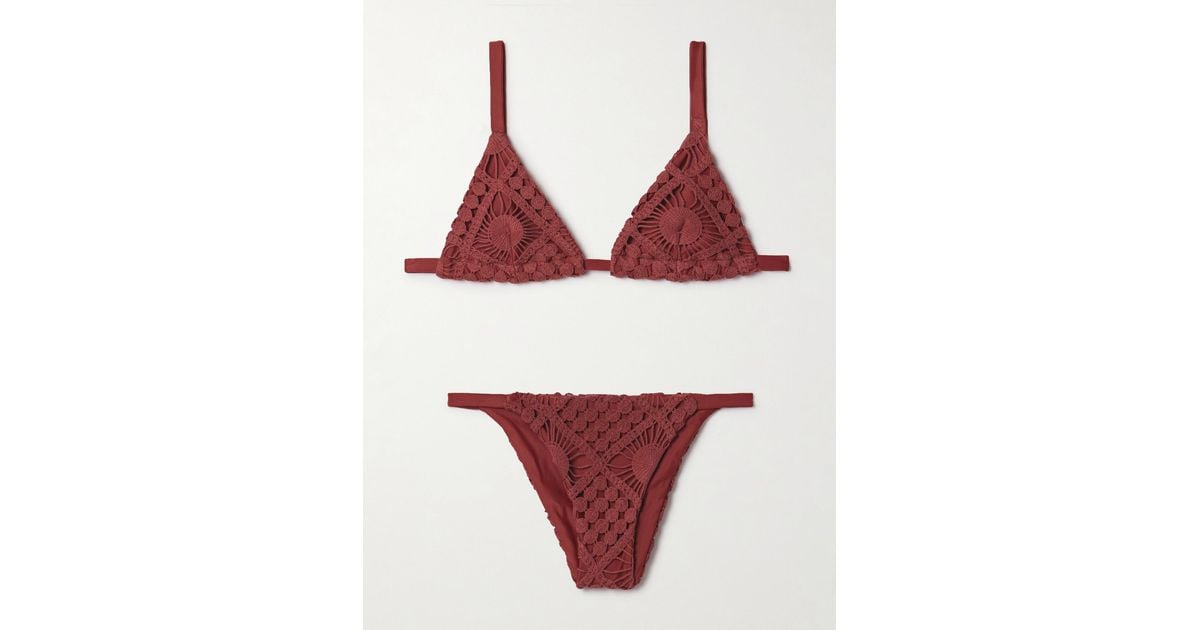 Sara Cristina - Narcisccus Bikini Bottom - Black main image 1