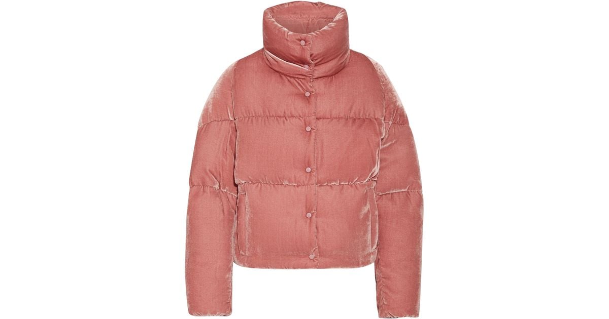 moncler cercis