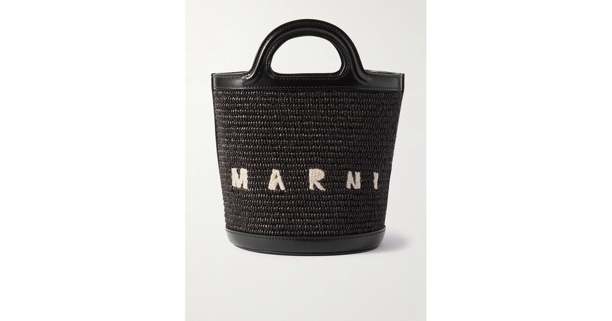 Marni Tropicalia Small Leather-Trimmed Embroidered Raffia
