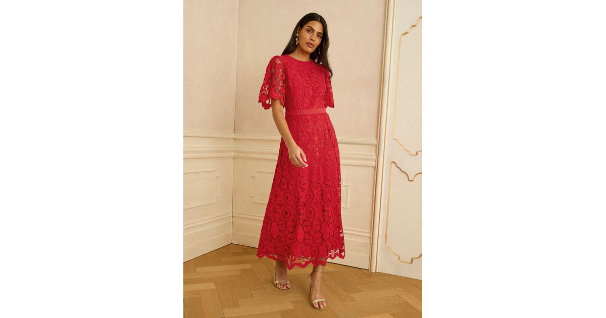 Love & Roses Lace Angel Sleeve Midi Dress in Red | Lyst Love & Roses Lace Angel Sleeve Midi Dress in Red | Lyst