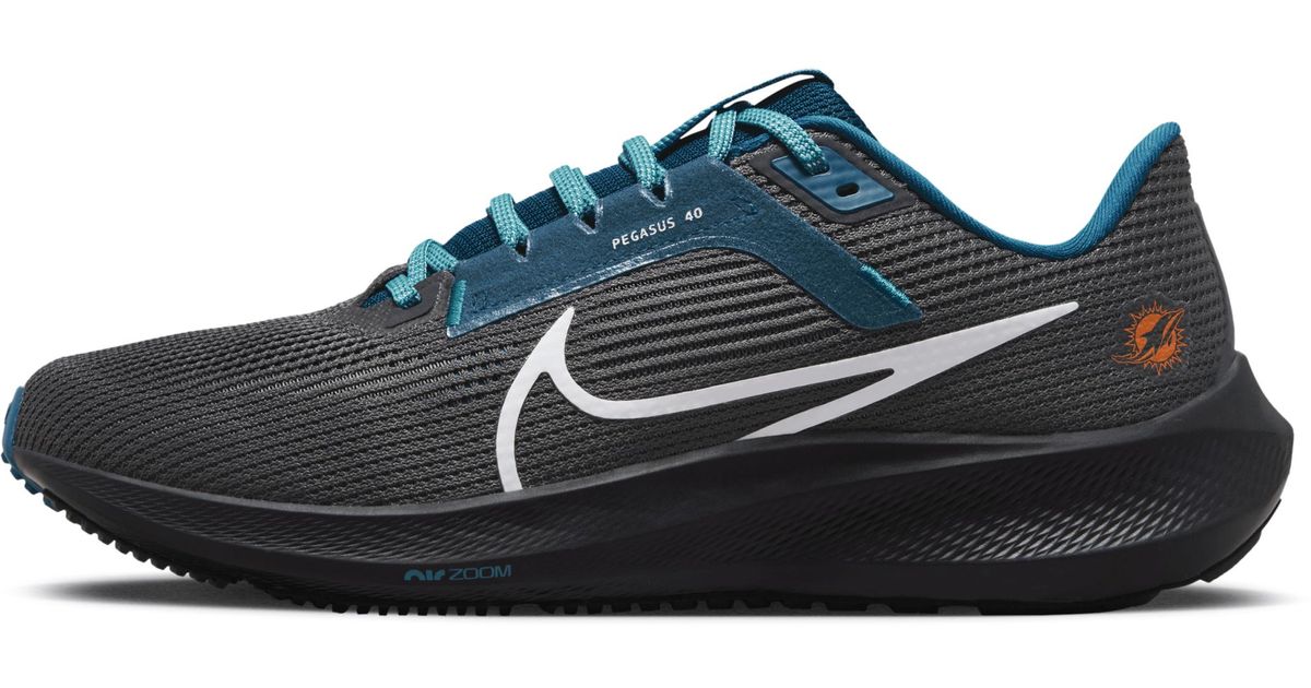 miami dolphins pegasus