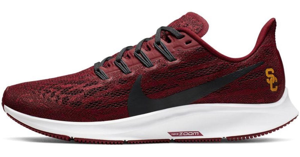 usc pegasus 36