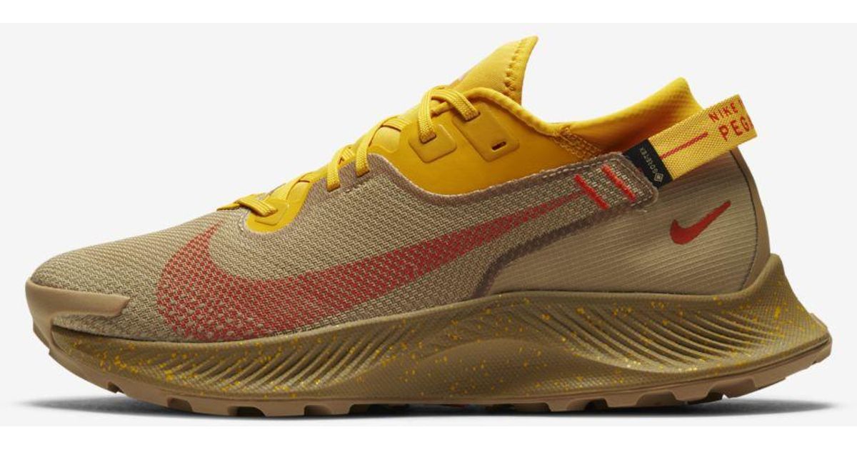 nike goretex pegasus 2