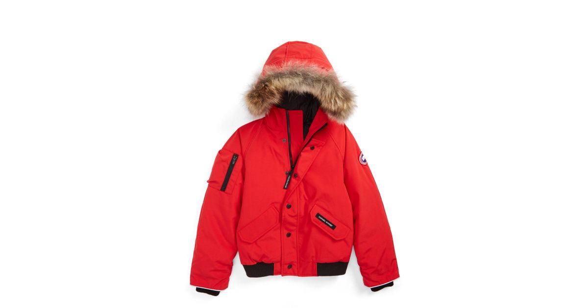 rundle down bomber jacket