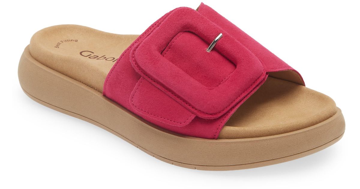 Gabor Oversize Buckle Slide Sandal in Pink | Lyst