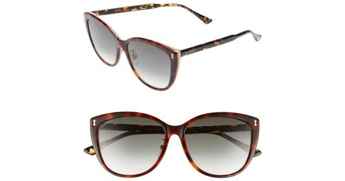 Gucci 58mm Cat Eye Sunglasses - Havana 