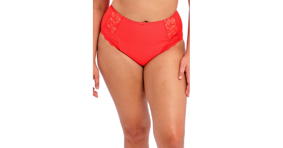 Elomi Charley Full Figure Briefs in Red