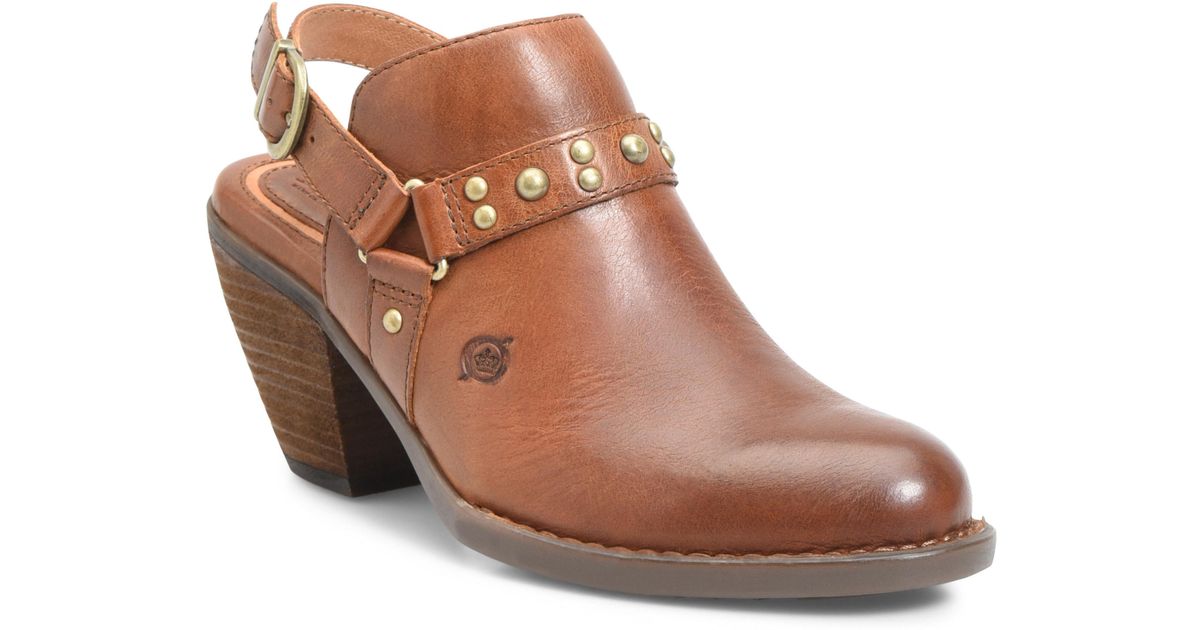 born pindo mule
