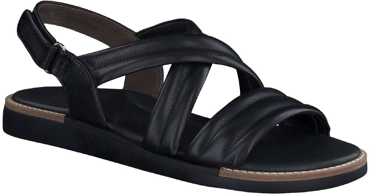 lois slingback sandal paul green