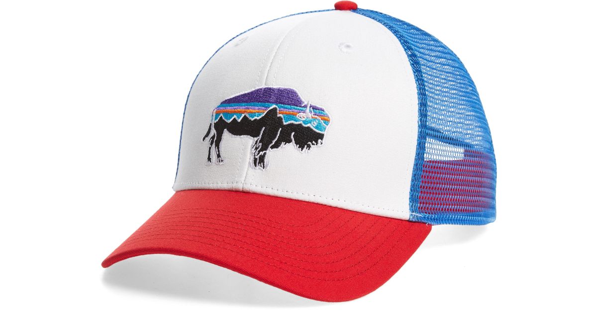 fitz roy bison trucker hat