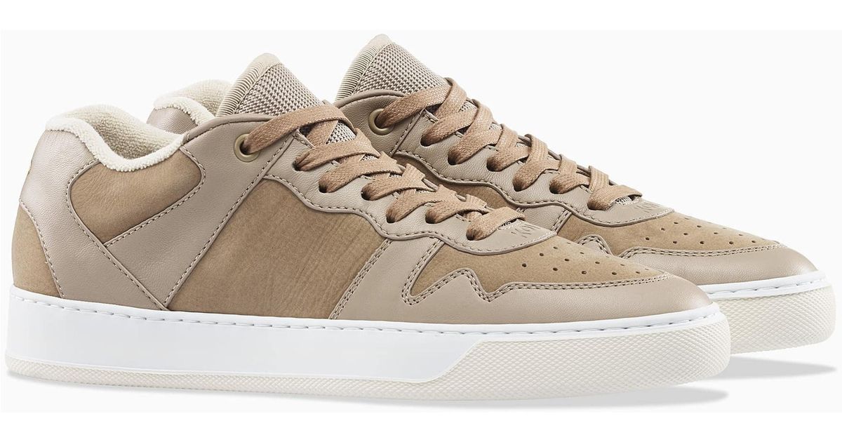 where to buy koio sneakers