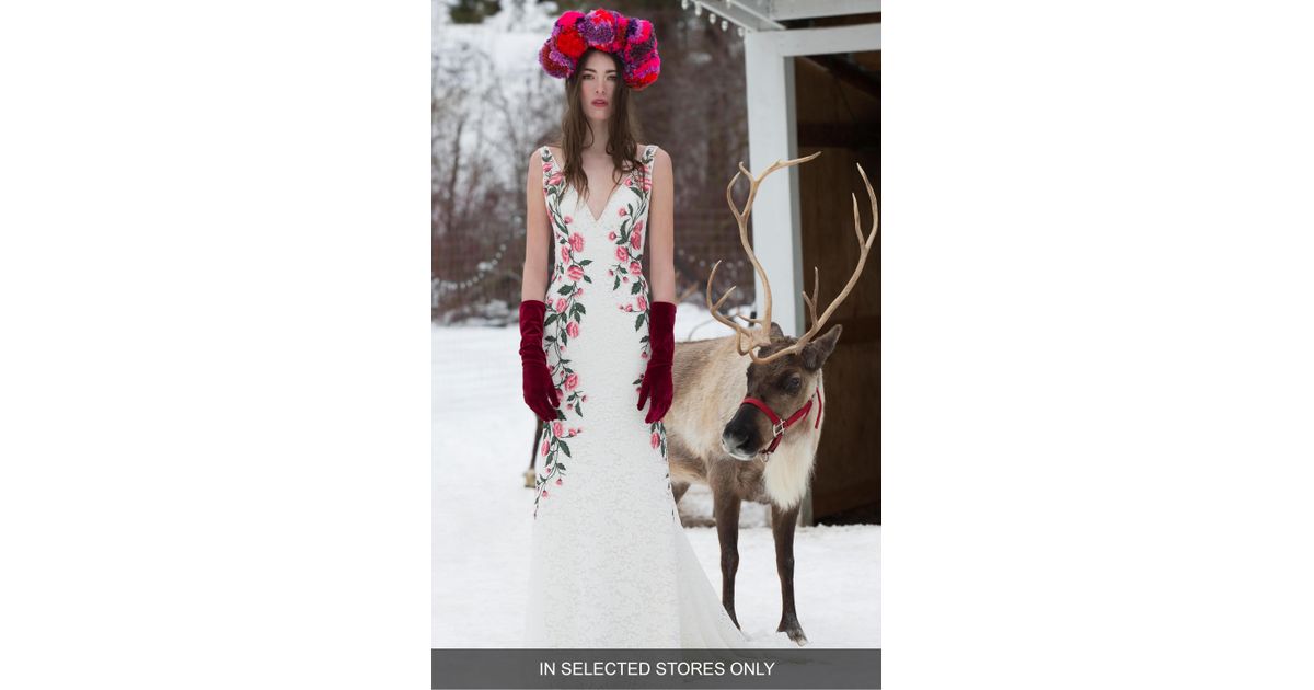 willowby bluma