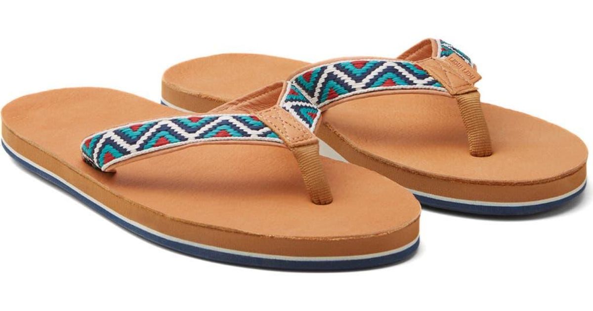 hari mari fields camino