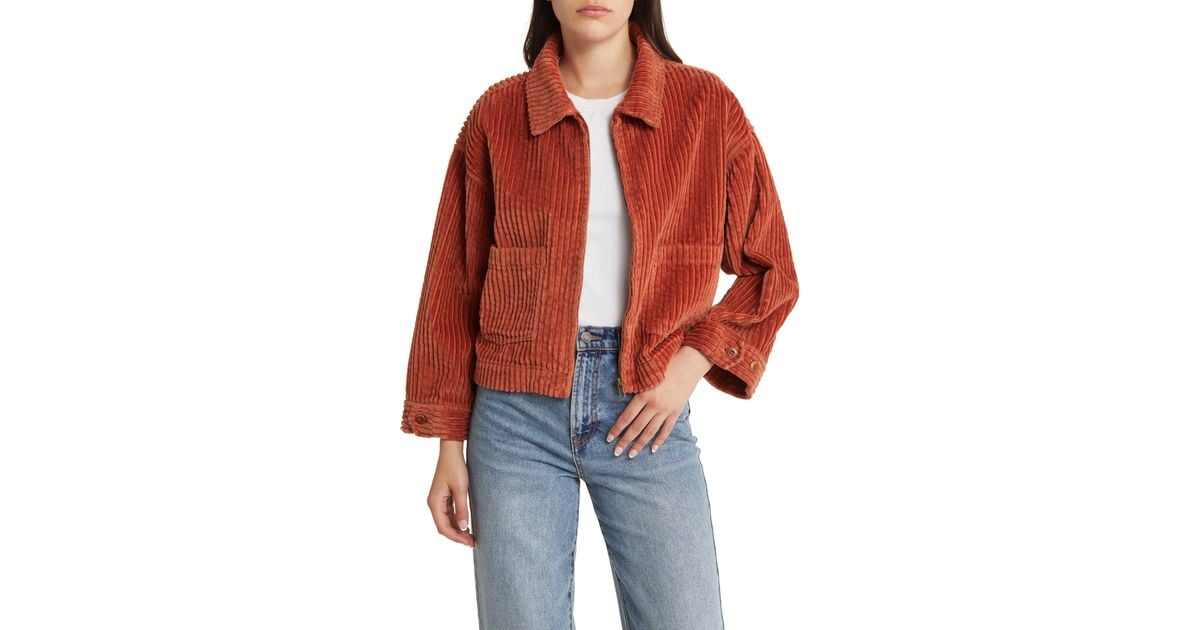Jacket clearance wale top