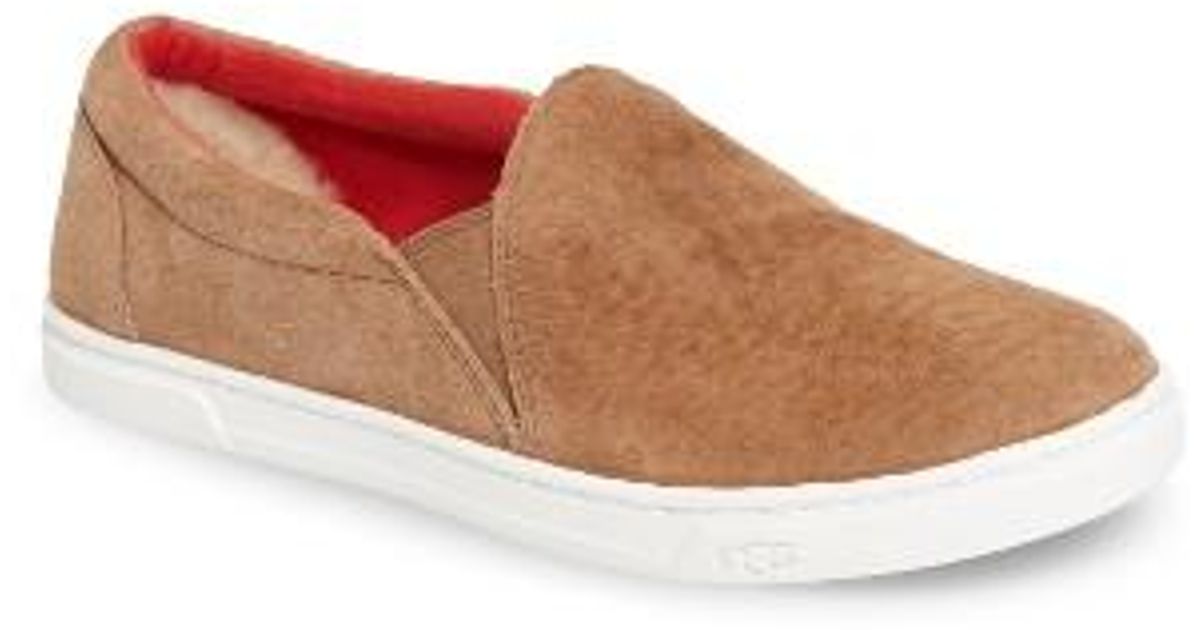 ugg kitlyn sneaker