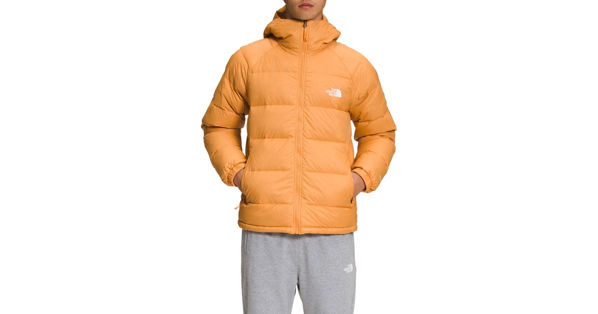 The North Face Hydrenalite 600 Fill Power Down Hooded Jacket in Orange