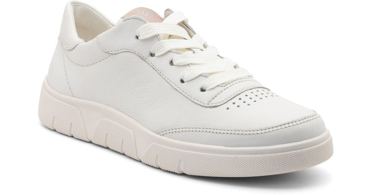 Ara Rome Sneaker in White | Lyst