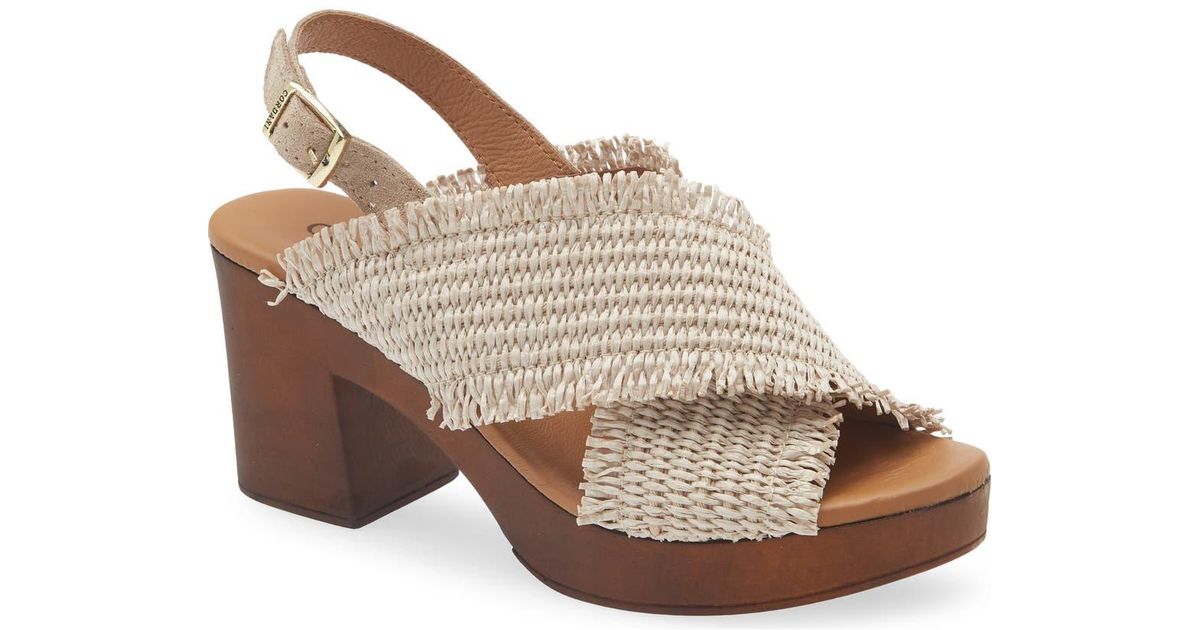 Cordani Wendy2 Raffia Crisscross Slingback Sandal in Brown | Lyst