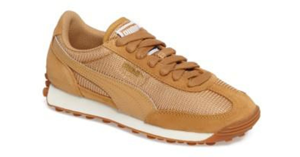 puma femminili