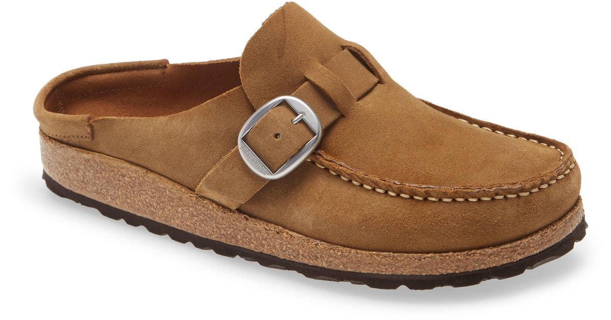 buckley clog