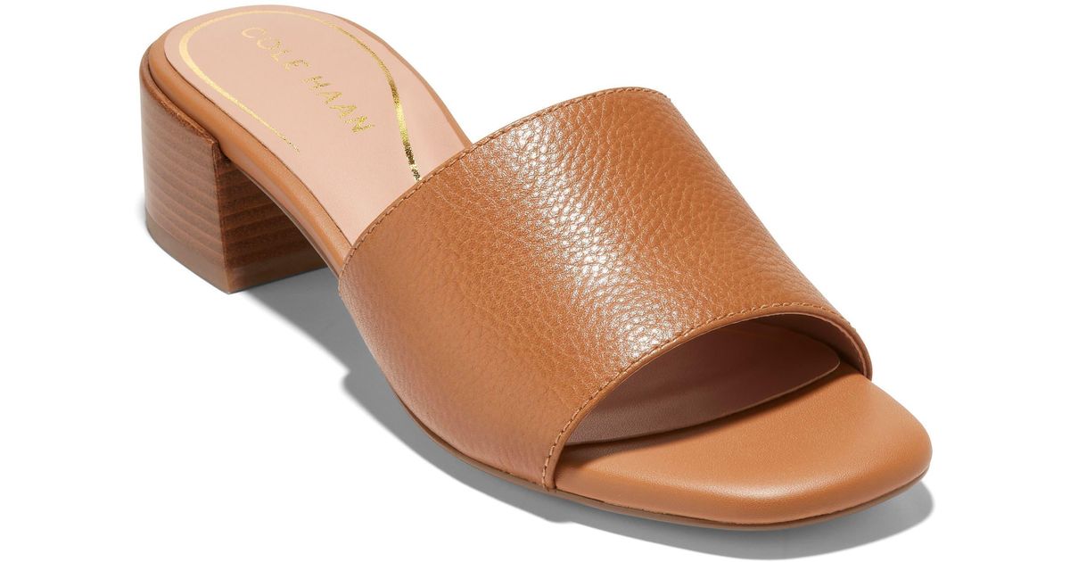 Cole Haan Calli Single Band Block Heel Slide Sandal in Brown Lyst
