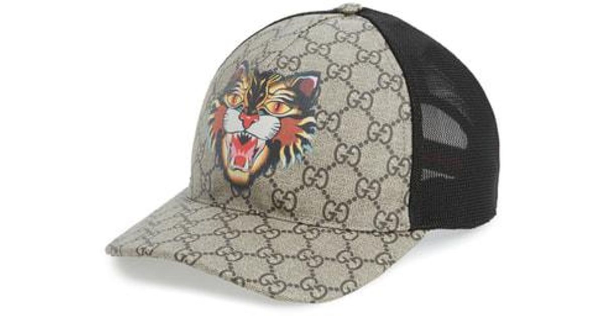 gucci hat angry cat